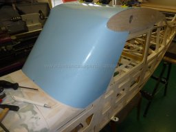 Canopy (22)